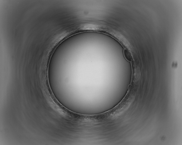 X0000101650529200807101233