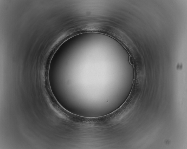 X0000101650530200807101233