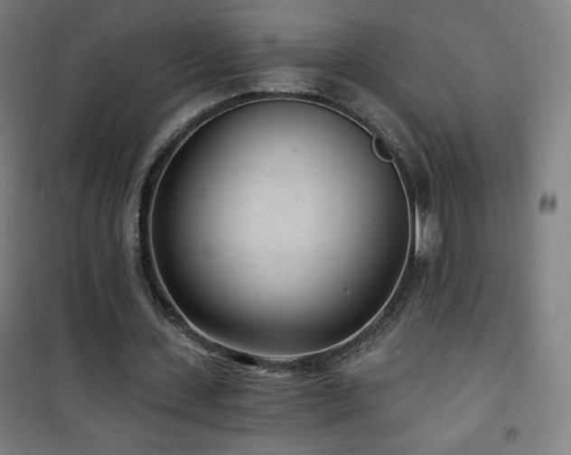 X0000101650531200807101233