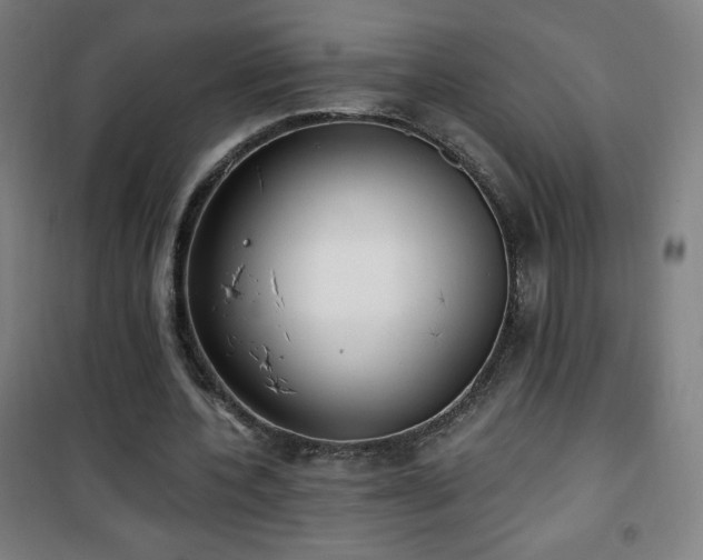 X0000101650532200807101233