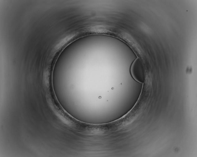 X0000101650533200807101233