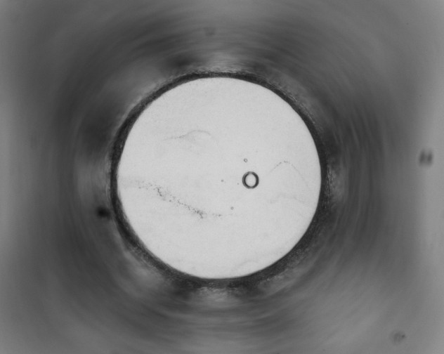 X0000101650534200807101234