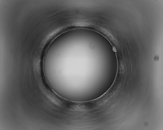 X0000101650535200807101234