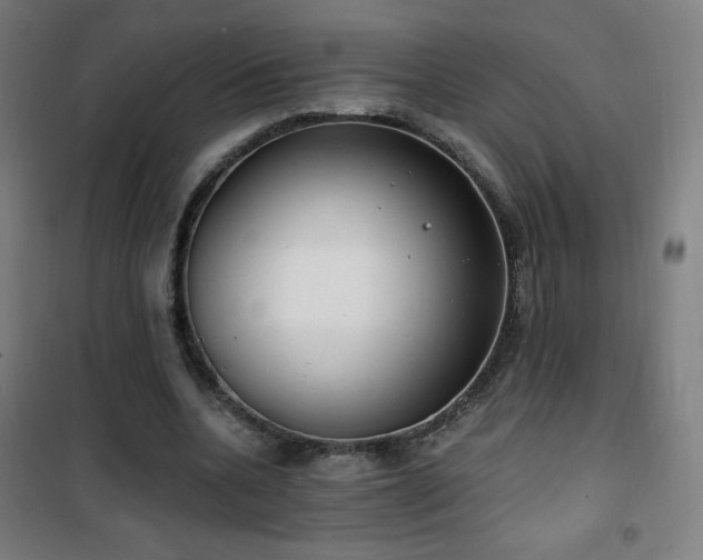 X0000101650536200807101234