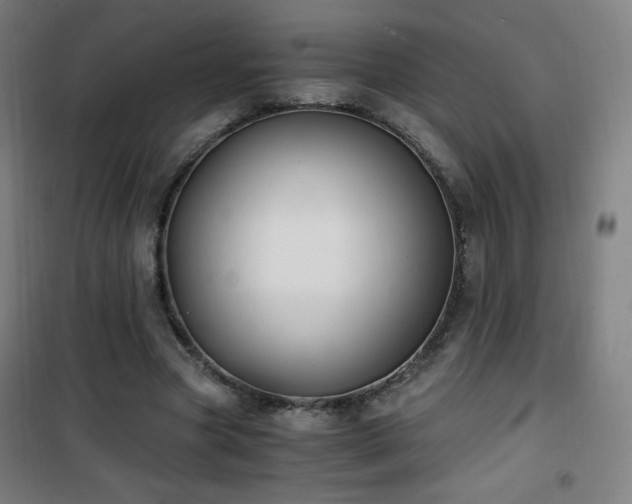 X0000101650537200807101234