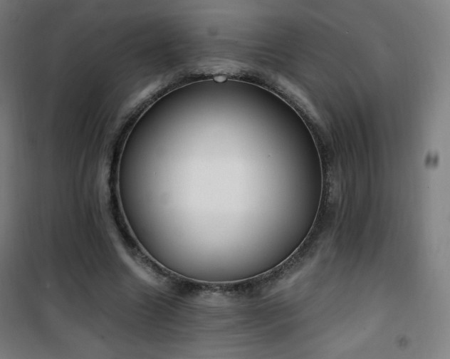 X0000101650538200807101234