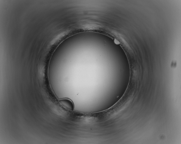 X0000101650539200807101234