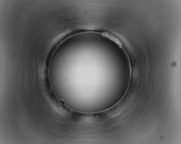 X0000101650540200807101234