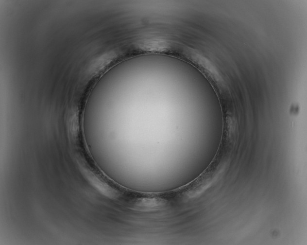 X0000101650541200807101234