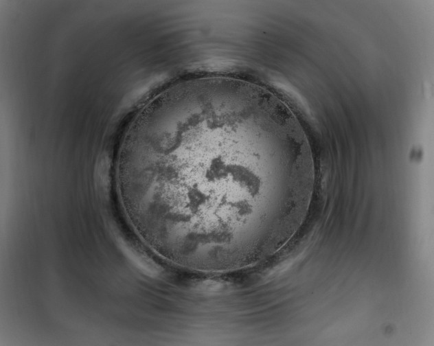 X0000101650542200807101234