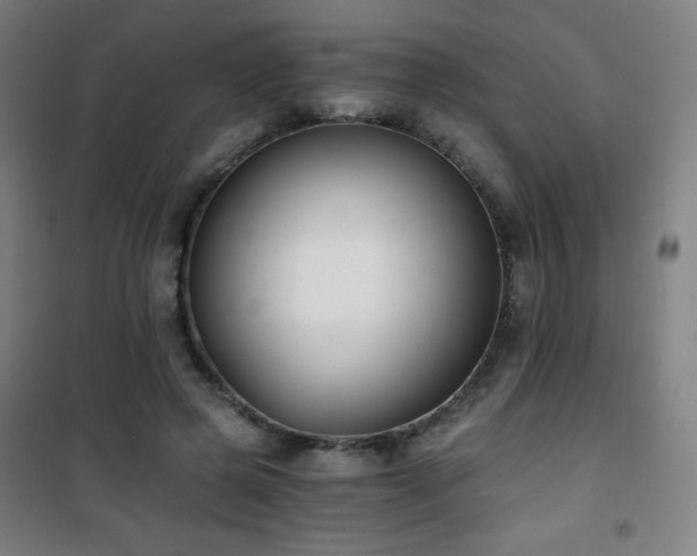 X0000101650545200807101234