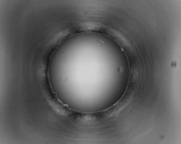 X0000101650546200807101234