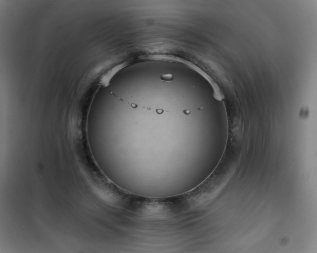 X0000101650547200807101234