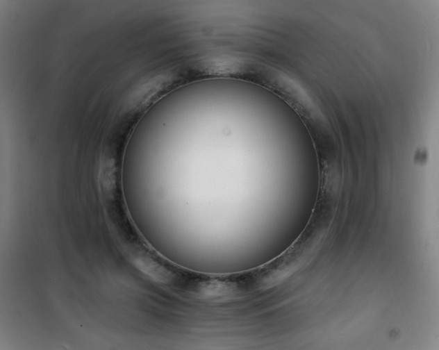 X0000101650549200807101234