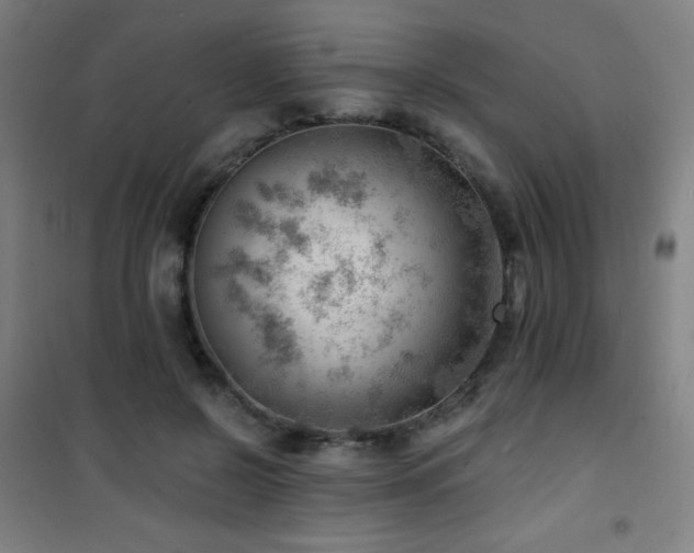 X0000101650550200807101234