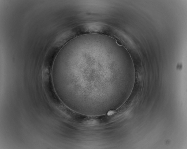 X0000101650551200807101234