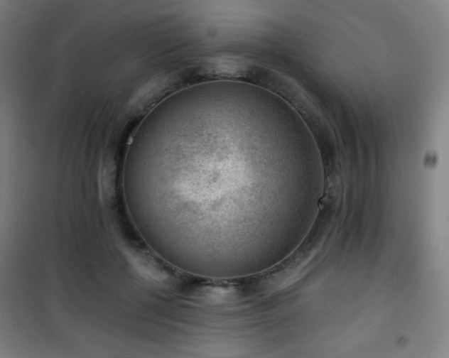 X0000101650552200807101234