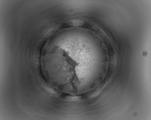 X0000101650553200807101234