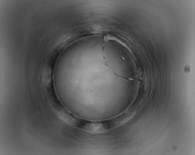 X0000101650554200807101234