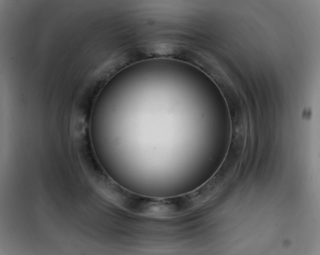 X0000101650555200807101234