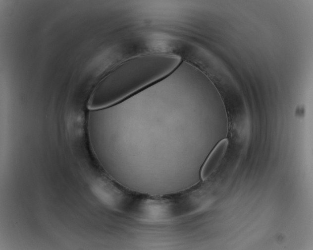 X0000101650556200807101234