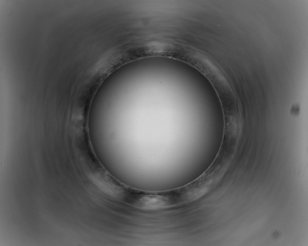 X0000101650557200807101234