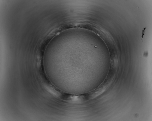 X0000101650558200807101234