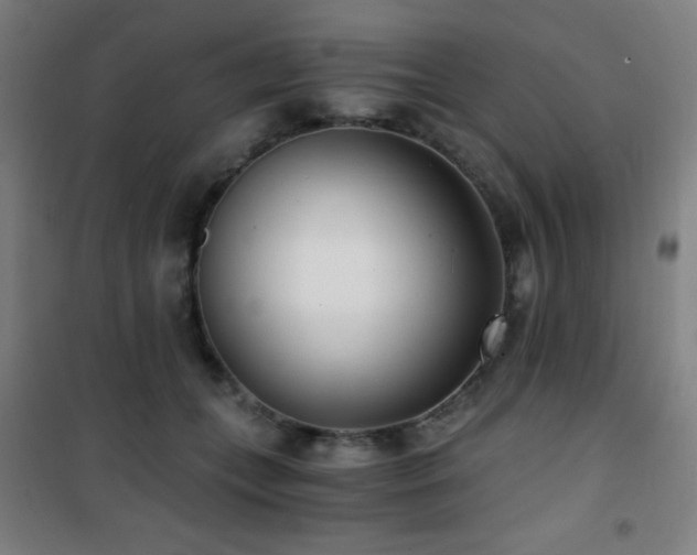 X0000101650559200807101234