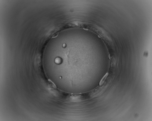 X0000101650560200807101234