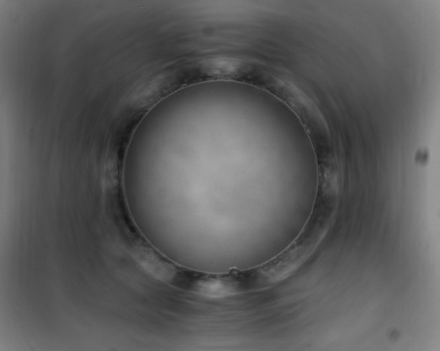 X0000101650561200807101234