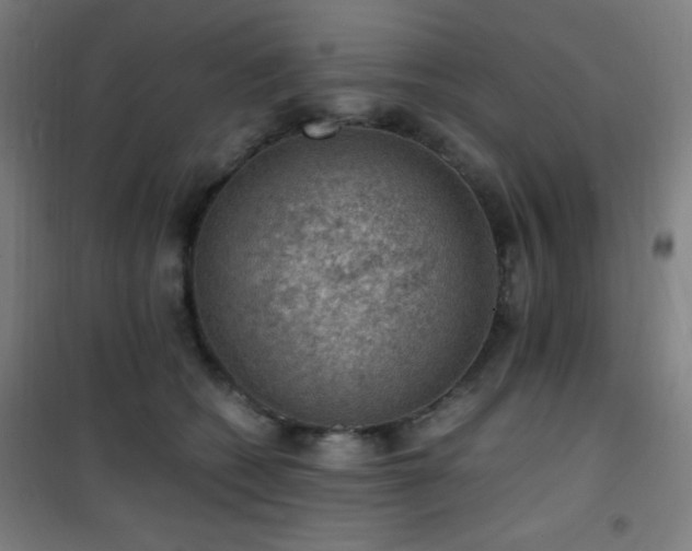 X0000101650562200807101234