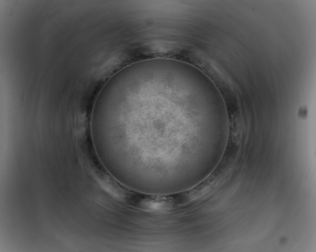 X0000101650563200807101234