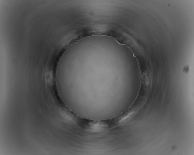 X0000101650564200807101234