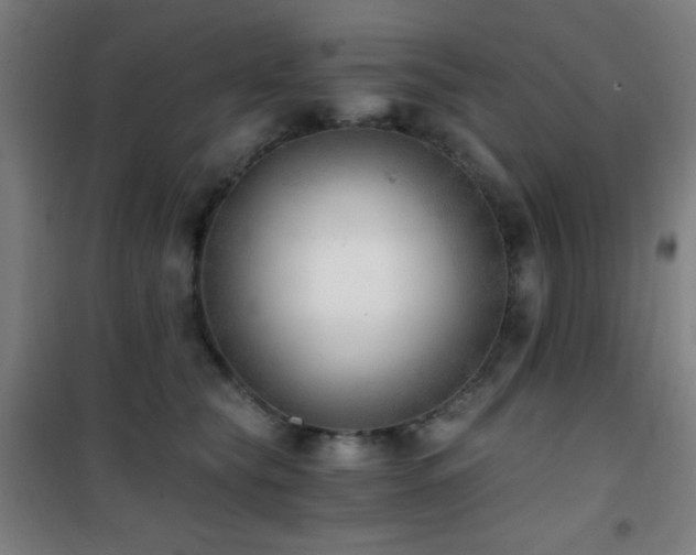 X0000101650565200807101234