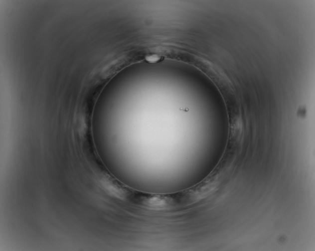 X0000101650566200807101234