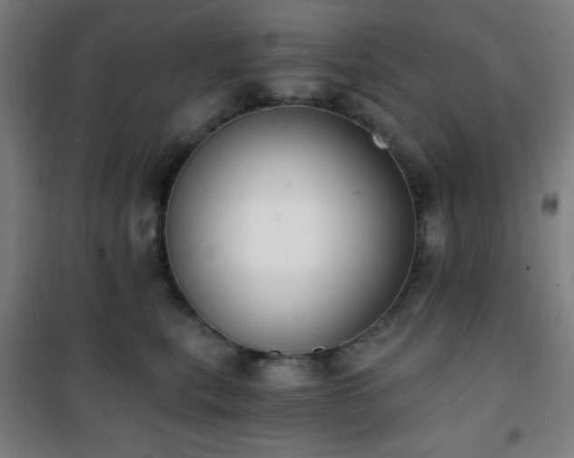 X0000101650567200807101234