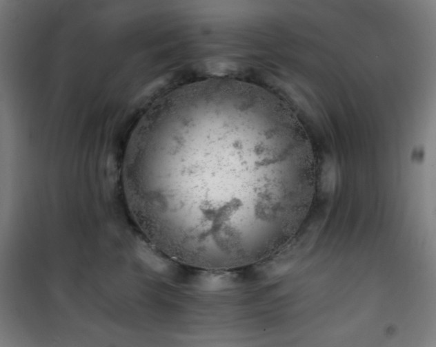 X0000101650569200807101234