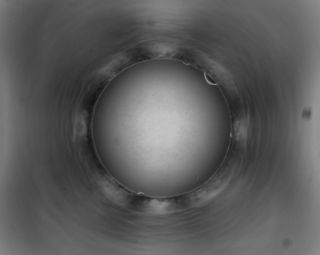 X0000101650570200807101234