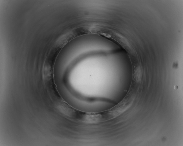 X0000101650571200807101234