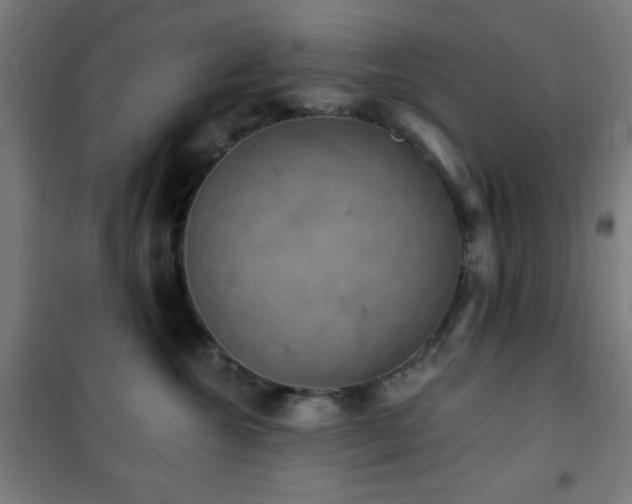 X0000101650572200807101234