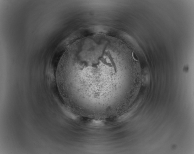 X0000101650573200807101234