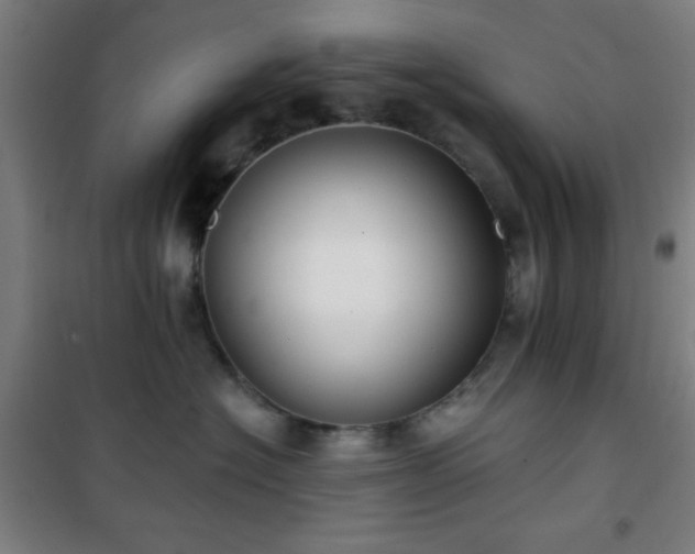 X0000101650574200807101234