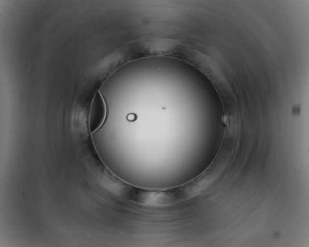 X0000101650575200807101234