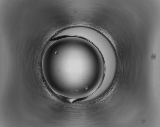 X0000101650577200807101233