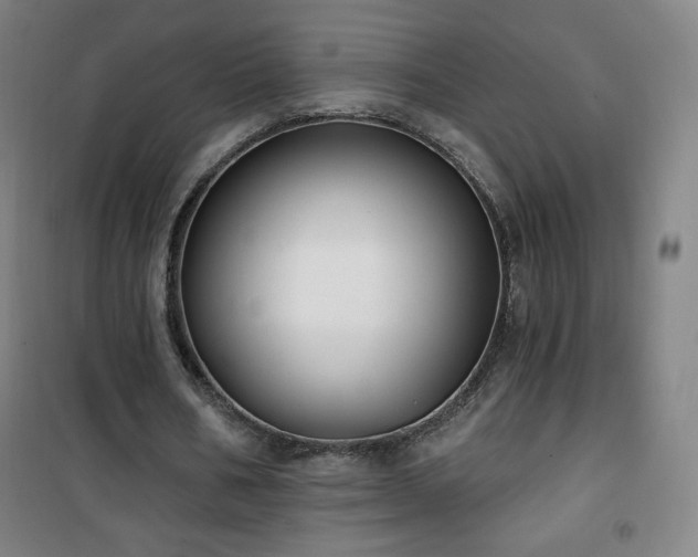 X0000101650578200807101233