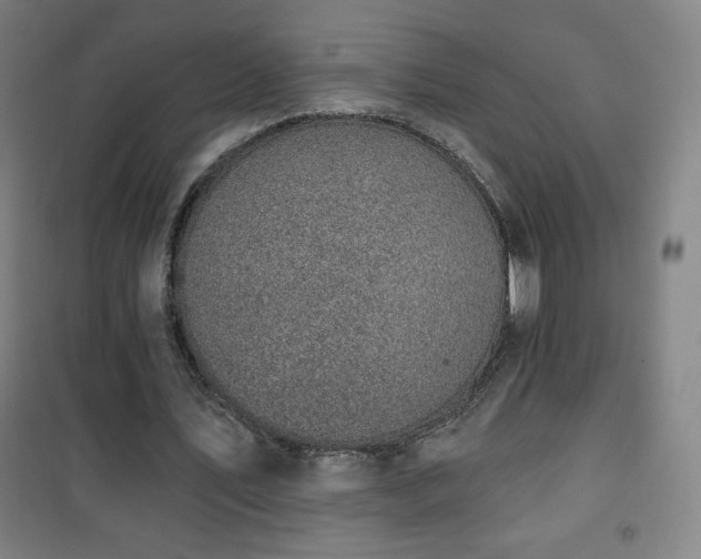 X0000101650579200807101233