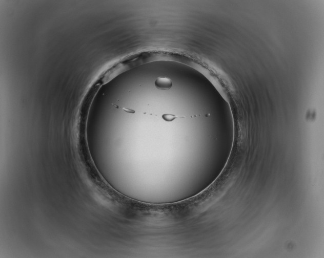 X0000101650580200807101233