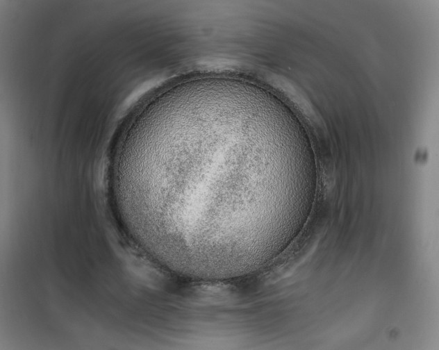 X0000101650583200807101233