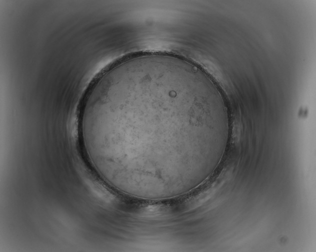 X0000101650584200807101233