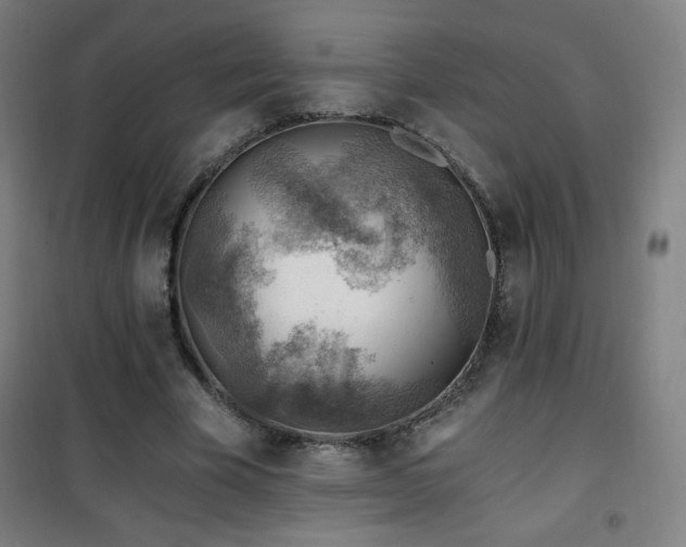 X0000101650585200807101233